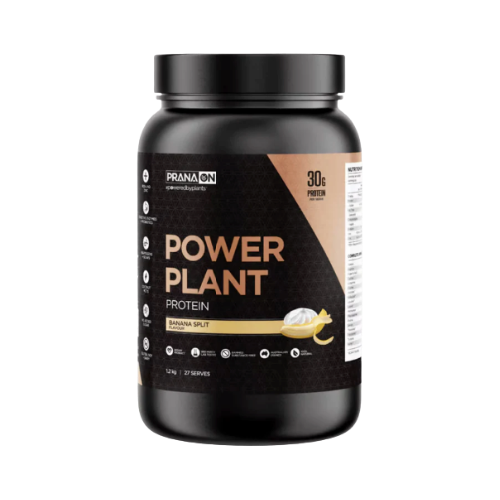 Prana On Power Plant Protein