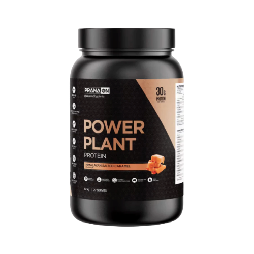 Prana On Power Plant Protein